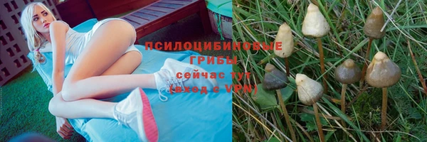 кристаллы Алзамай