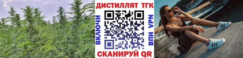 Дистиллят ТГК жижа  Мураши 
