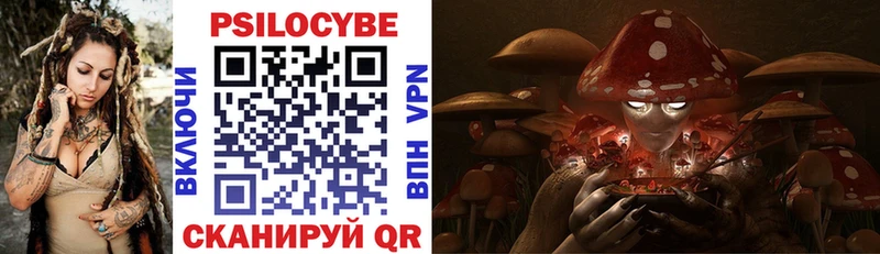 Псилоцибиновые грибы мицелий Мураши